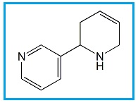 Nicotine Related Compound A